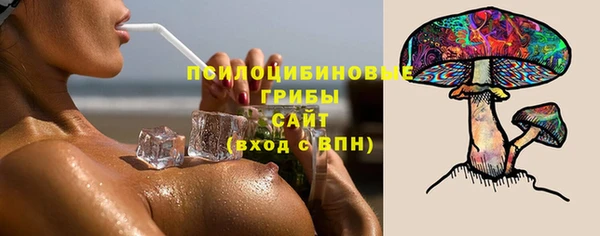 стаф Богородск