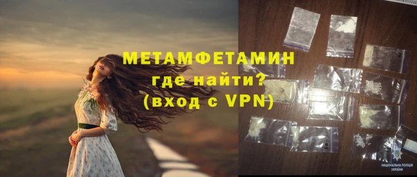 гидра Богданович