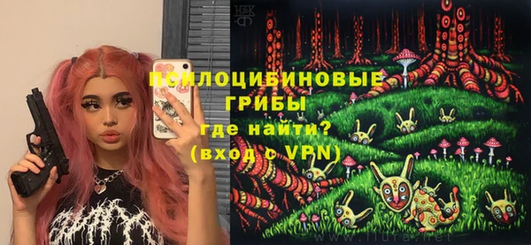 бошки Богородицк