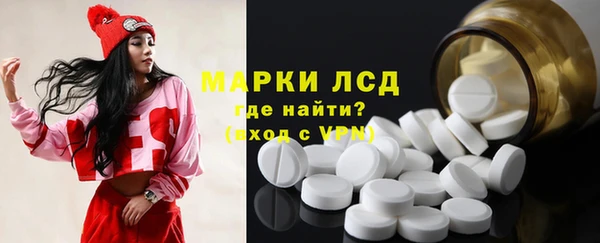 гидра Богданович