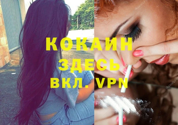 гидра Богданович