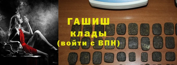 гидра Богданович