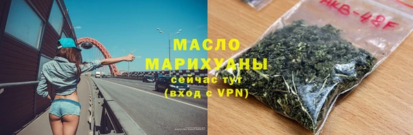 гидра Богданович