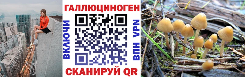 hydra вход  Дорогобуж  Галлюциногенные грибы прущие грибы 